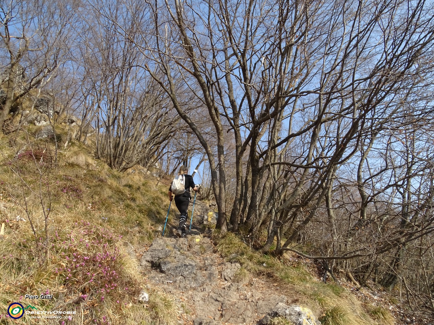 36 In decisa salita per cima Monte Zucco.JPG